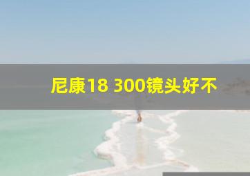 尼康18 300镜头好不